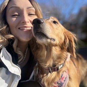 Furry Friends - Pet Boarding Near Me Furry Friends - Pet Boarding Near Me