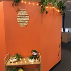 Dr. Todd Connell Orthodontics - We strive for a peaceful environment