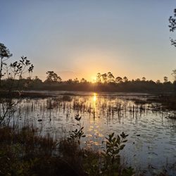 Geneva Wilderness Area