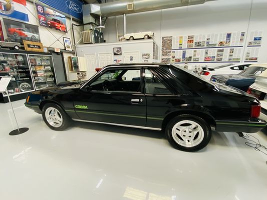 Mustang Owner's Museum by null