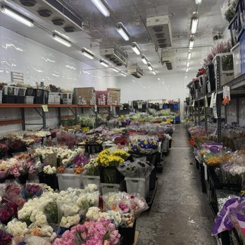 POTOMAC FLORAL WHOLESALE - Updated February 2026 - 186 Photos & 102