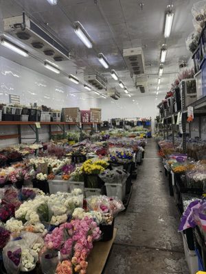 POTOMAC FLORAL WHOLESALE - Updated October 2025 - 176 Photos & 101