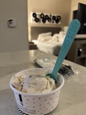 Tipsy Scoop Nashville by null