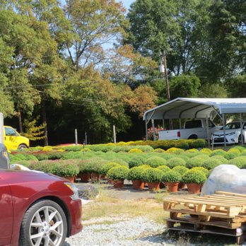 Gunter's Greenhouse - Mums galore! It's that time of year. - Nurseries & Gardening Near Me - Durham, North Carolina Gunter's Greenhouse - Mums galore! It's that time of year. - Nurseries & Gardening Near Me - Durham, North Carolina