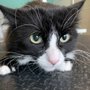 Photo of Melissa Michelle Grooming