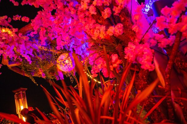 Paris Tokyo By Azai Sushi Temp Closed 33 Photos 29 Reviews Sushi Bars 9400 South Santa Monica Blvd Beverly Hills Ca Restaurant Reviews Menu Yelp