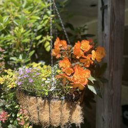 Lodge At Camden Hills - Hanging baskets in front of cottage