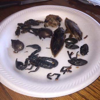 Meat Maniac - A bunch of opened bug packs. - Specialty Food Near Me - Richardson, Texas