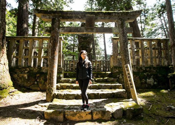 Okunoin Cemetery by null