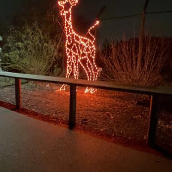 Zoo Lights at the Buffalo Zoo - Festivals Near Me - Buffalo, New York Zoo Lights at the Buffalo Zoo - Festivals Near Me - Buffalo, New York