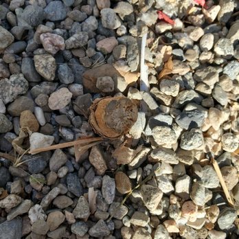 Rodriguez Landscaping - Weed stump. - Gardeners Near Me Rodriguez Landscaping - Weed stump. - Gardeners Near Me