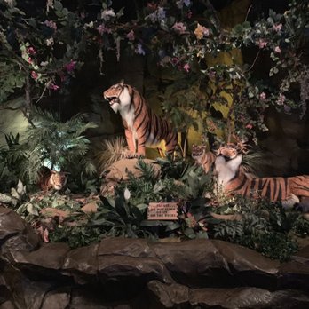Rainforest Cafe - American Near Me - Grapevine, Texas Rainforest Cafe - American Near Me - Grapevine, Texas