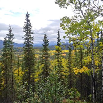 Denali National Park - Hiking Near Me - Mckinley Park, Alaska