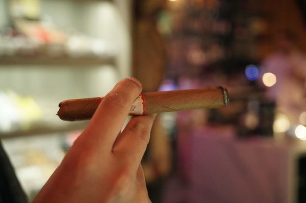 Coco Cigars by null