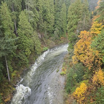 Capilano Suspension Bridge Park - Parks Near Me - North Vancouver, British Columbia