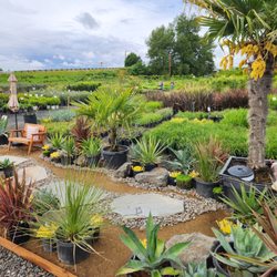 The Nursery Outlet