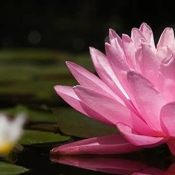 Counseling ABQ - Counseling & Mental Health Near Me - Albuquerque, New Mexico Counseling ABQ - Counseling & Mental Health Near Me - Albuquerque, New Mexico