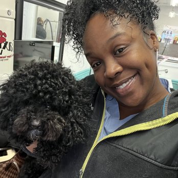 DogGone Classy - Pet Groomers Near Me - Mauldin, South Carolina