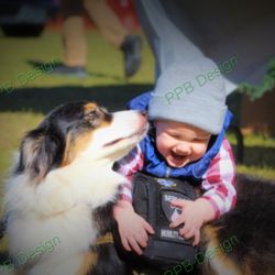 Pupspaintball - Our Service dog showing love to a baby