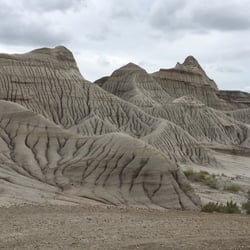 Dinosaur Provincial Park - Bad lands