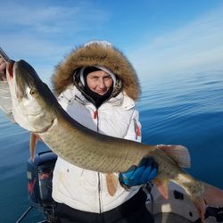West Coast Sportfishing Charters