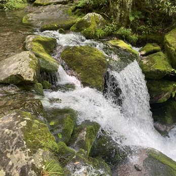 Cosby Campground - Snake Den Ridge Trail - Recreation Centers Near Me - Hartford, Tennessee