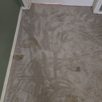Steam Master Cleaning - Carpet Cleaning Near Me - Dallas, Texas Steam Master Cleaning - Carpet Cleaning Near Me - Dallas, Texas