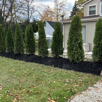 Downs Tree Service - Tree Services Near Me - New Boston, Michigan