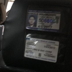 Hoyt Limo and Car Service - This guy was a real Arrogant piece of work doesn't follow directions well