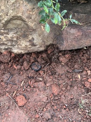 Andy's Sprinkler, Drainage & Lighting