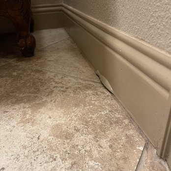 Kiwi Services - Carpet Cleaning Near Me - Fort Worth, Texas Kiwi Services - Carpet Cleaning Near Me - Fort Worth, Texas