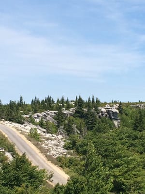 Dolly Sods Wilderness by null