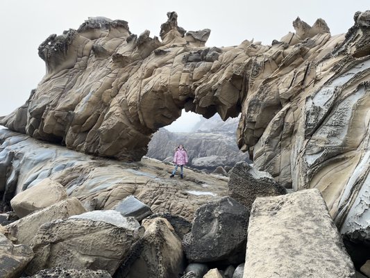 Salt Point State Park by null