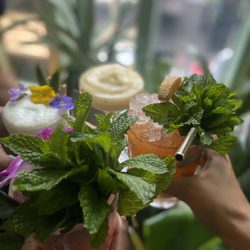 Blossom Bar