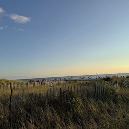 view of sunset beach view of sunset beach