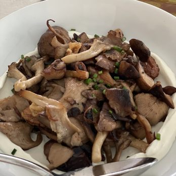 Zaytinya - Mushrooms on lebneh - Greek Near Me - Washington, DC, District of Columbia
