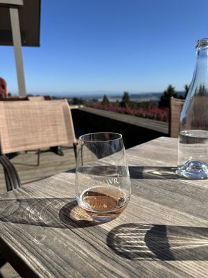 Bryn Mawr Vineyards by null