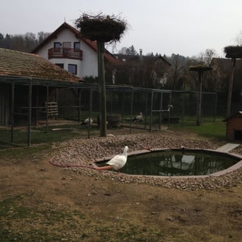 Storchengehege - Pets Near Me - Holzen, NI