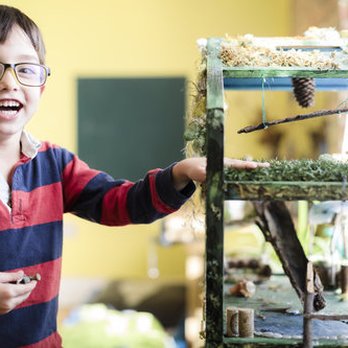 Green Bean Day School & Nursery - Preschools Near Me - Chicago, Illinois Green Bean Day School & Nursery - Preschools Near Me - Chicago, Illinois