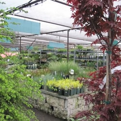 Fiesta Gardens