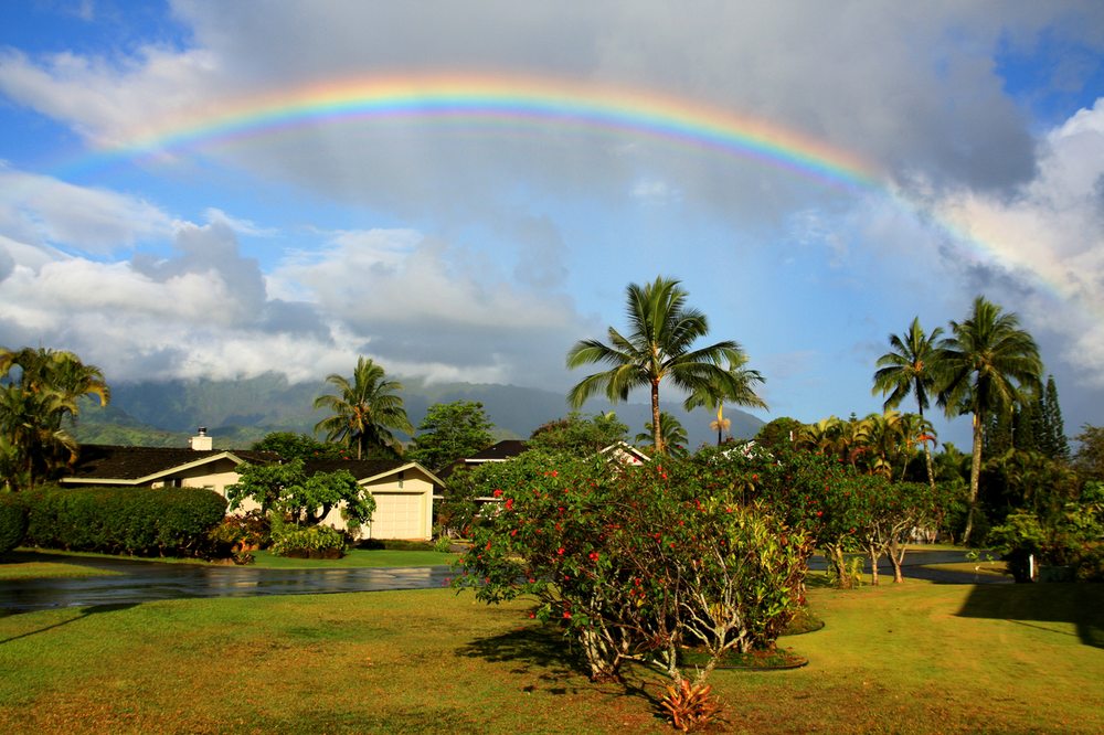 RON MARGOLIS THE MARGOLIS TEAM Updated April 2024 11 Photos