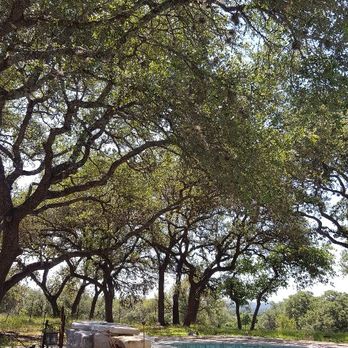 Frank The Tree Guy - Beautiful - Tree Services Near Me Frank The Tree Guy - Beautiful - Tree Services Near Me
