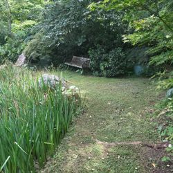 KJM Tree  Garden and Cleaning - garden and lawn maintenance