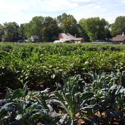 Saltbox Farm - Autumn farm in full flush!