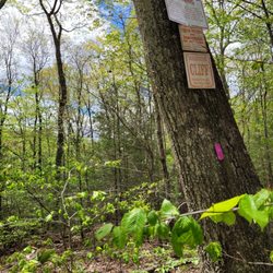 Enders State Forest