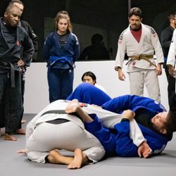 Daruma Dojo