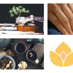 Stillpoint Healing Center - From Classical to Modern East Asian Medicine