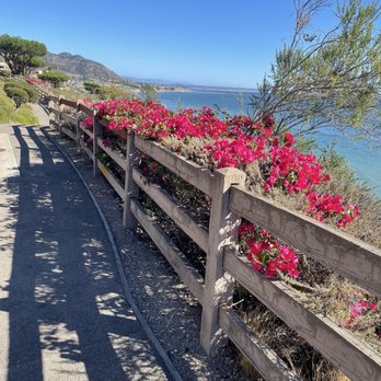 Shell Beach Bluff Trail - Trail - Hiking Near Me - Pismo Beach, California