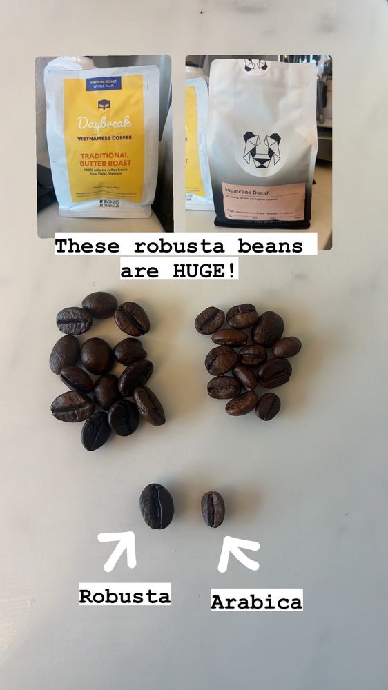 Daybreak Vietnamese Coffee