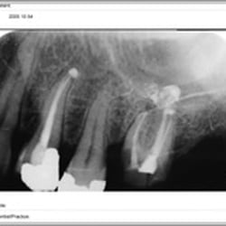 Michael Manela, DDS